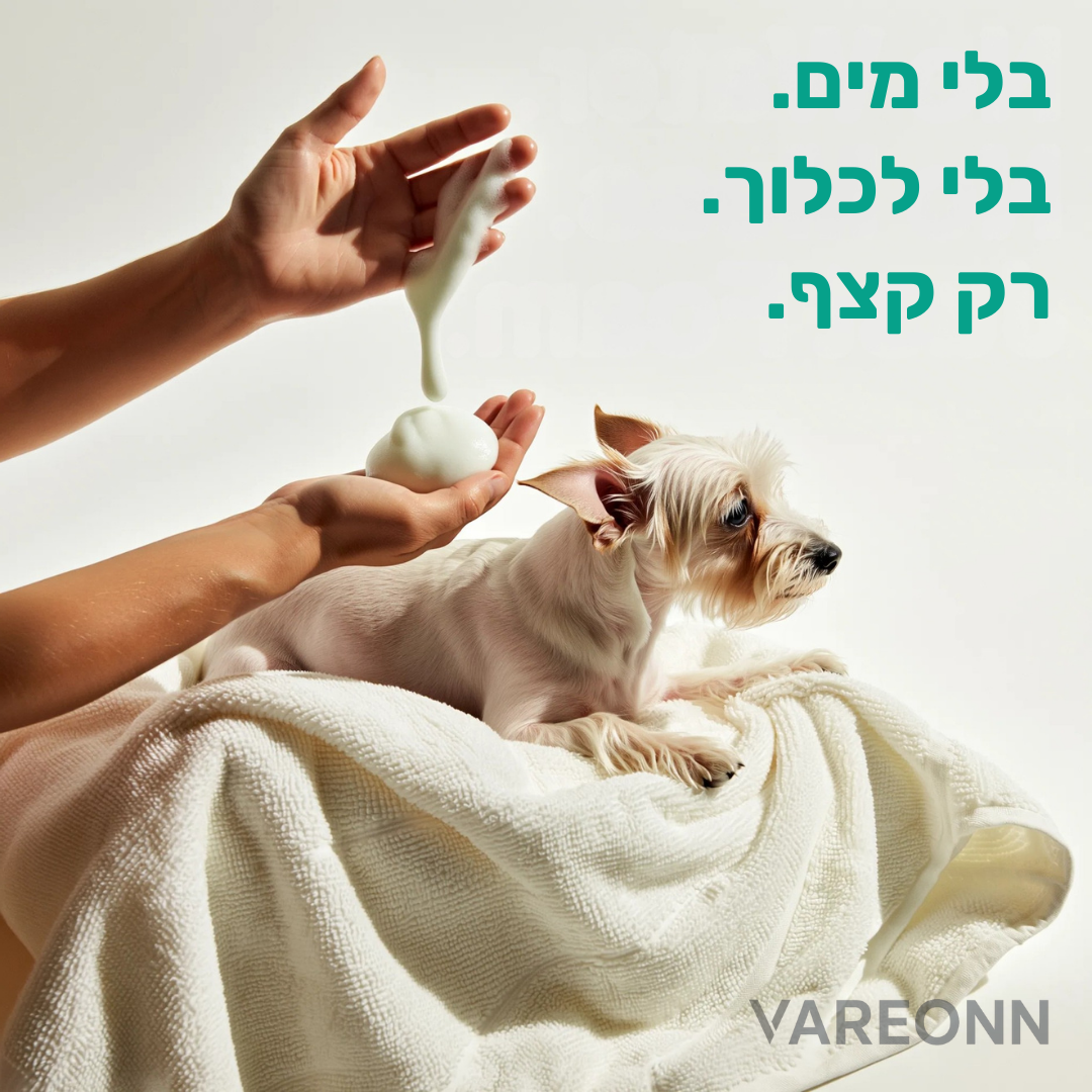 מוסנטאנג – תכשיר טבעי לניקוי ללא מים