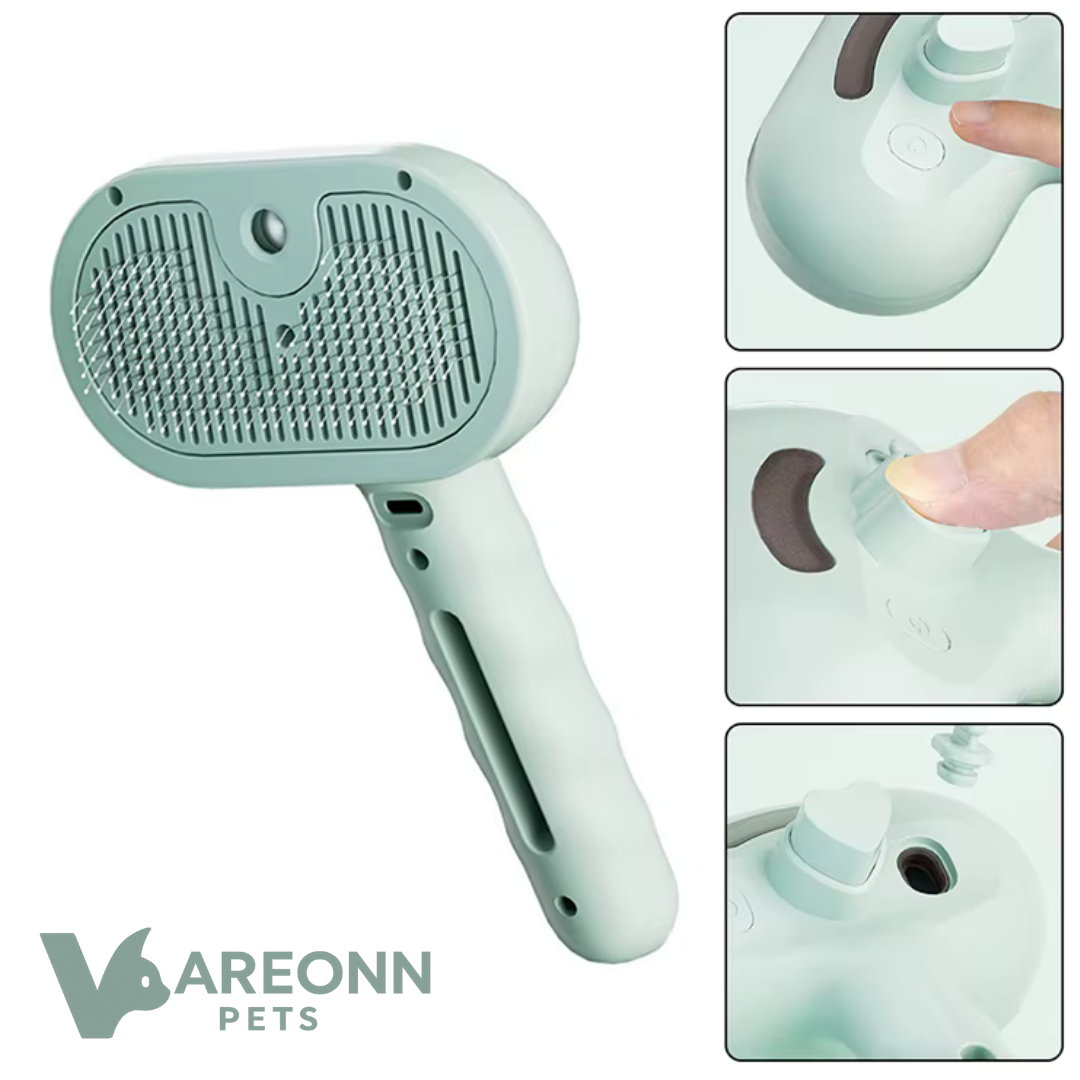 מברשת ספריי לטיפוח