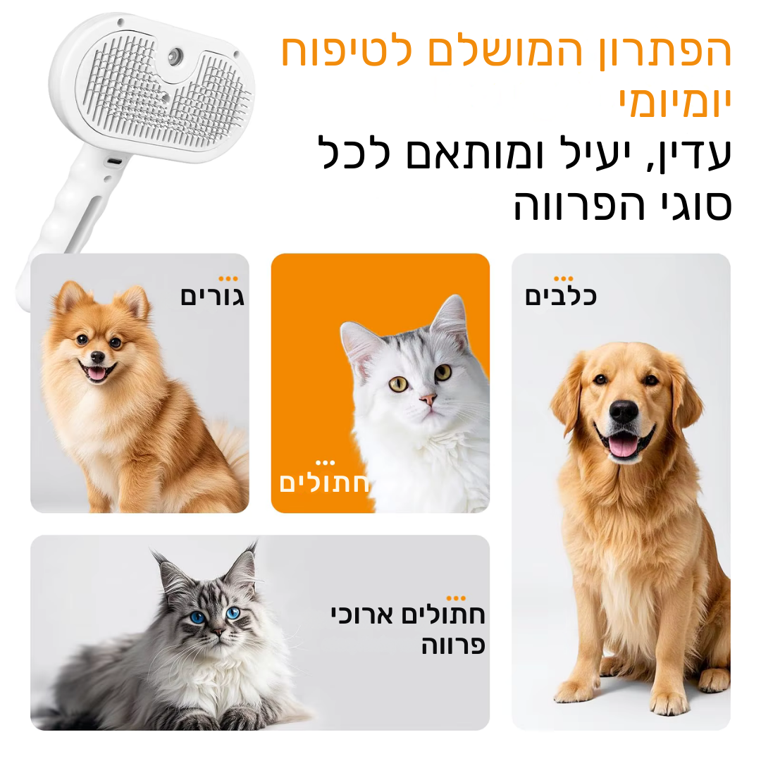 מברשת ספריי לטיפוח