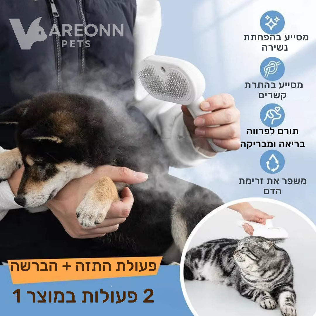 מברשת ספריי לטיפוח