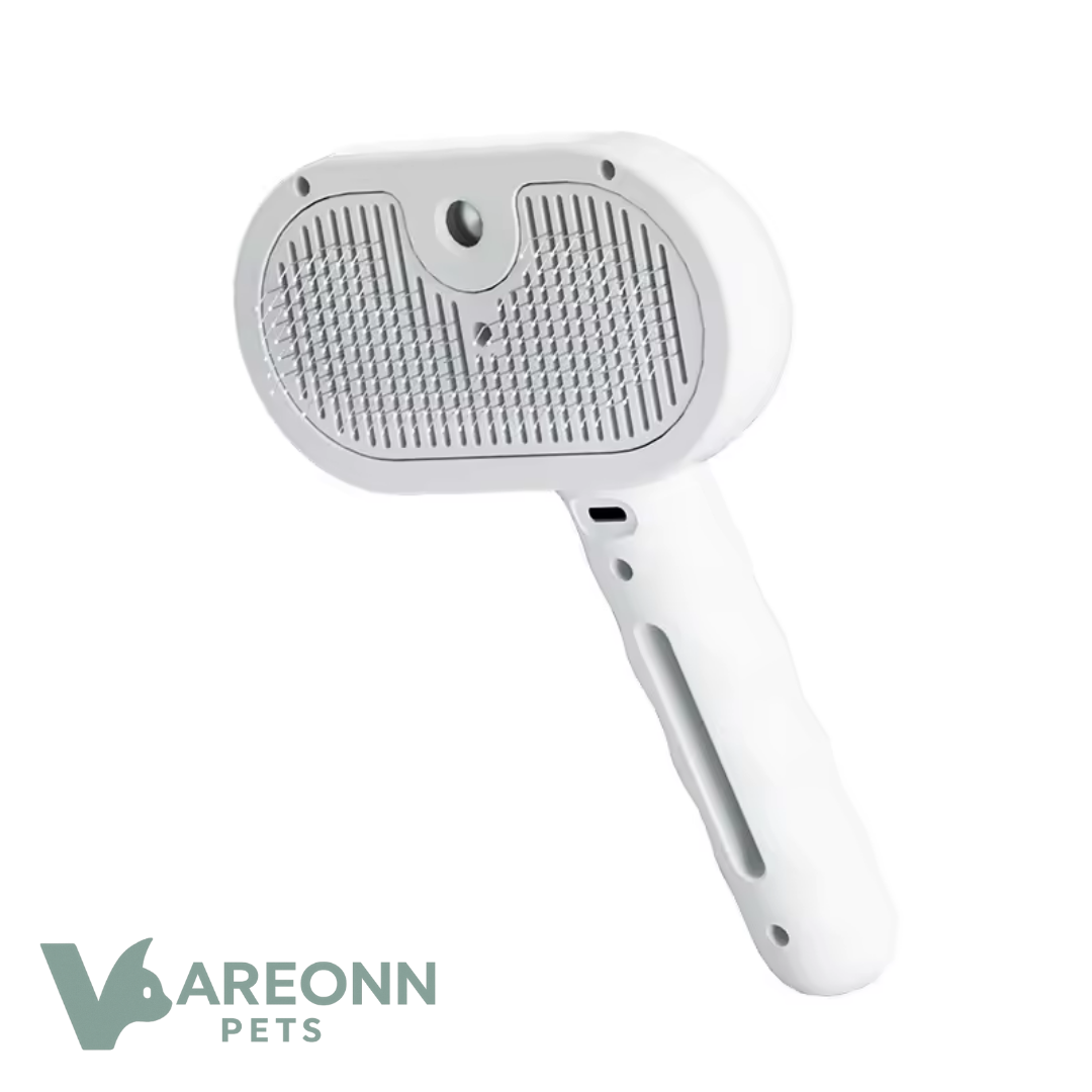 מברשת ספריי לטיפוח