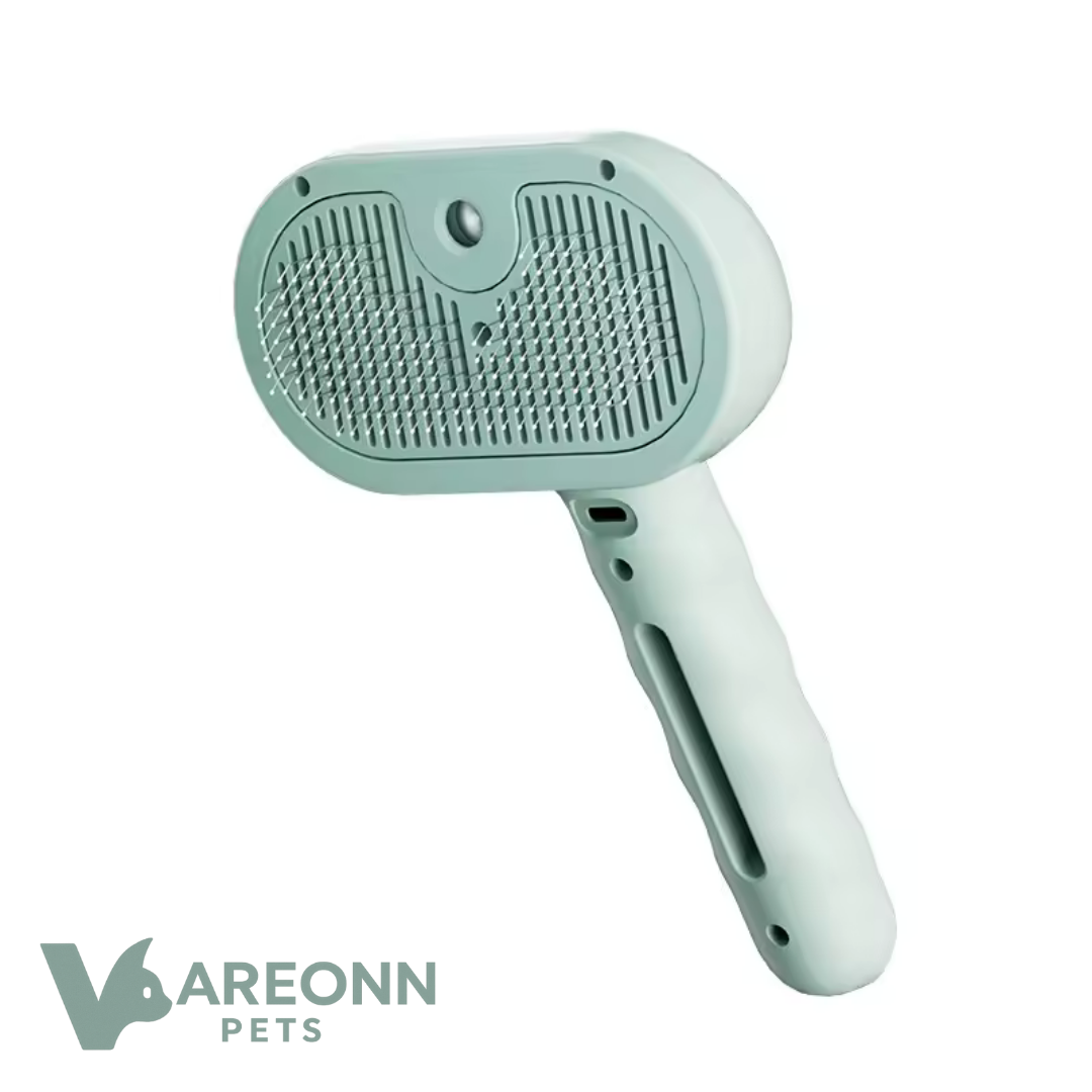 מברשת ספריי לטיפוח