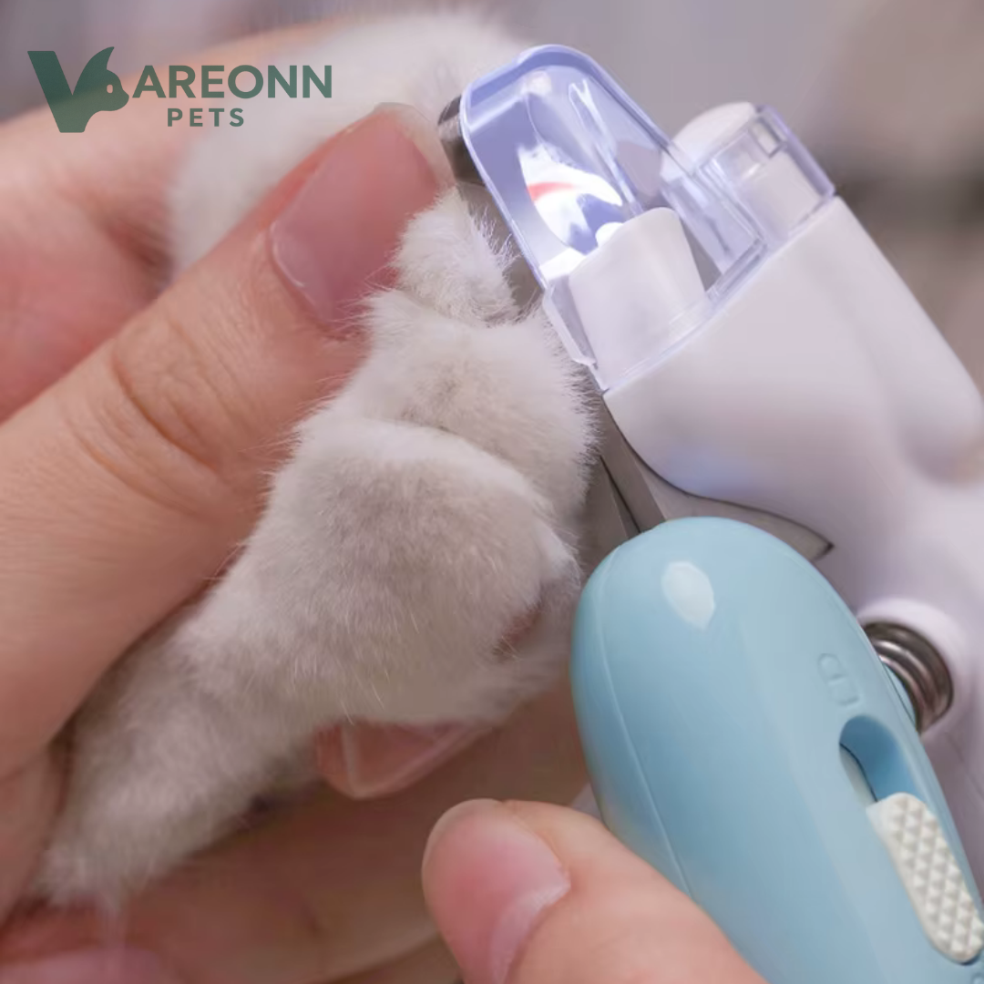 קוצץ ציפורניים בטיחותי