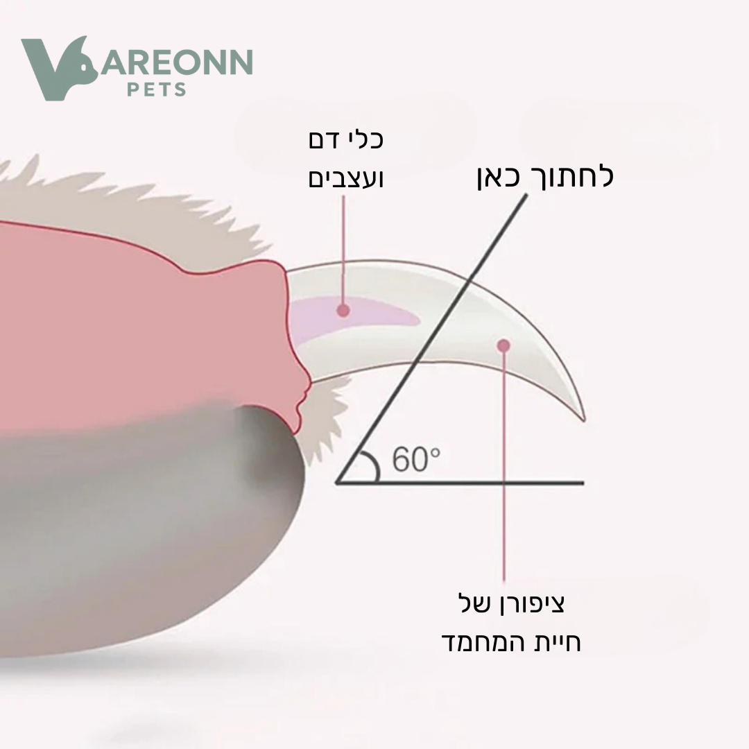 קוצץ ציפורניים בטיחותי